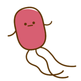 【衛生・食中毒】腸管出血性大腸菌（O157）のかわいいフリーイラスト