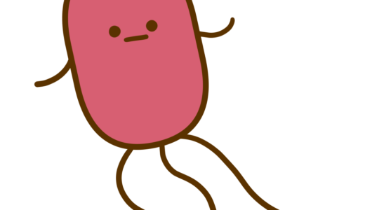 腸管出血性大腸菌（O157）