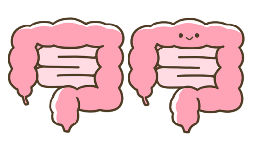 【医療・人体・部位】健康な腸のかわいいフリーイラスト