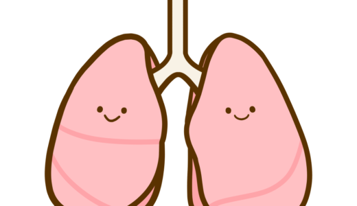 【医療・臓器】元気・調子の良い肺のかわいいフリーイラスト