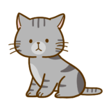 【生活・動物】猫・アメリカンショートヘアのかわいいフリーイラスト