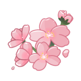 【生活・植物・花・春】桜の花とつぼみのかわいいフリーイラスト