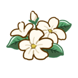 【生活・植物・花】ジャスミンの花のかわいいフリーイラスト