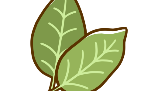 【栄養・食べ物・香辛料】ローリエ（ローレル・月桂樹の葉）のかわいいフリーイラスト