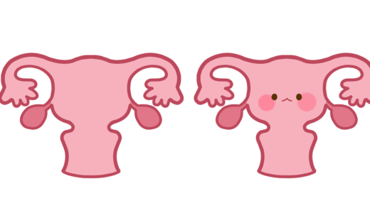 【医療・人体】デフォルメした子宮のかわいいフリーイラスト