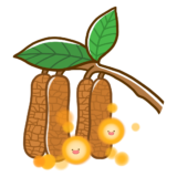 【生活・植物・医療・その他】花粉を出しているハンノキのかわいいフリーイラスト