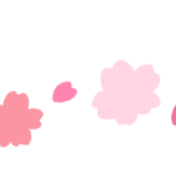 【生活・植物・春】桜の花の飾り線（ライン）のかわいいフリーイラスト