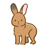 【生活・動物】うさぎ　ニホンノウサギのかわいいフリーイラスト
