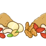 【栄養・食べ物・種実類】種実類の概念のかわいいフリーイラスト